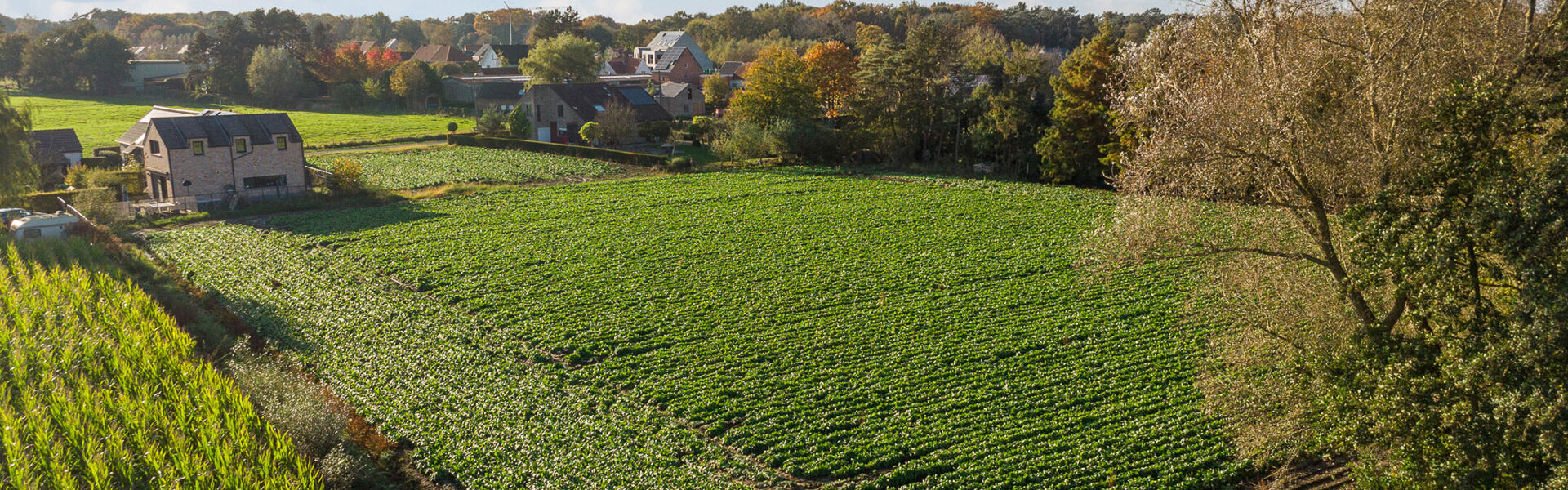 Bouwgrond te koop in Waasmunster