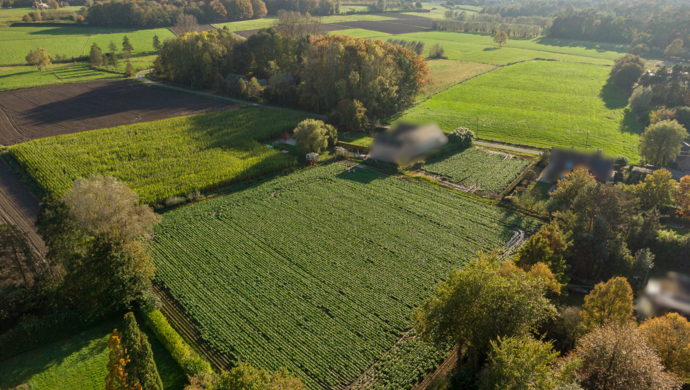 Bouwgrond te koop in Waasmunster