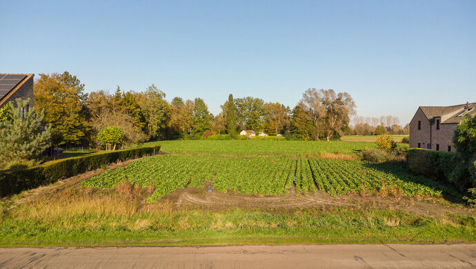 Bouwgrond te koop in Waasmunster